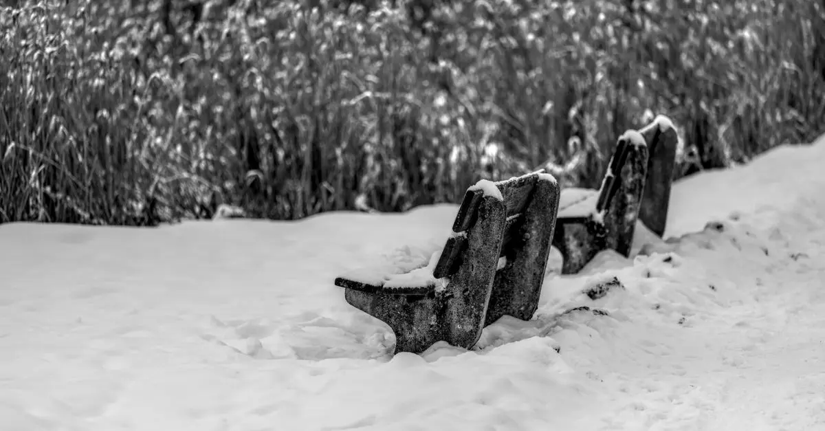 Guide d'achat : vestes hiver enfants