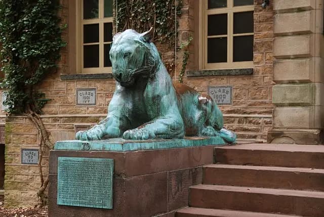 Guide d'achat des meilleures écoles de commerce