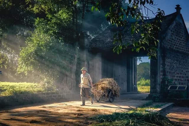 Guide d'achat des meilleurs lycées agricoles